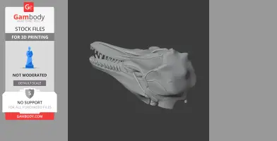 3D model of a pygmy killer whale skull, side view, showing detailed bone structure and teeth.