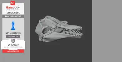 3D model of a pygmy killer whale skull, showcasing detailed bones and teeth structure for printing.