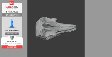 3D model of a pygmy killer whale skull, detailed replica for 3D printing.