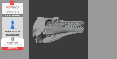 3D model of a pygmy killer whale skull, showing detailed bone structure and teeth for printing.