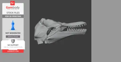 3D model of a pygmy killer whale skull showing detailed teeth and bone structure.