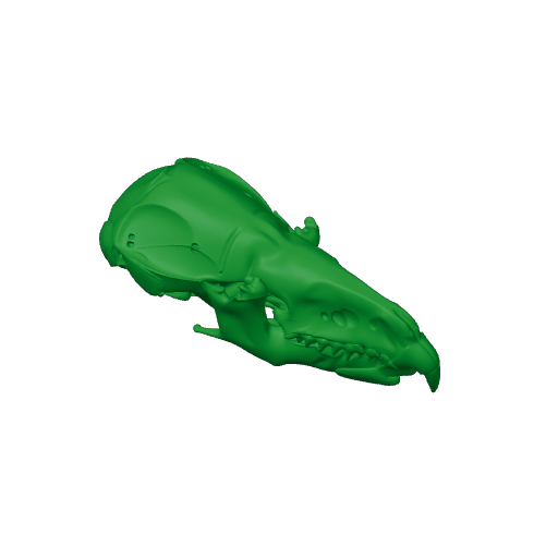 Pygmy Shrew Skull.3mf