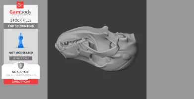 Pyrenean Desman Skull - Skull Replica STL