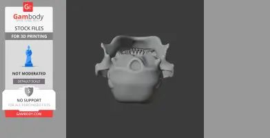 Pyrenean Desman Skull - Skull Replica STL