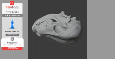 Pyrenean Desman Skull - Skull Replica STL