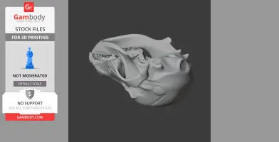 Pyrenean Desman Skull - Skull Replica STL