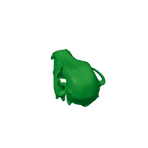 Pyrenean Desman Skull.3mf