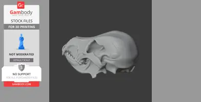 Pyrenean Desman Skull - Skull Replica STL