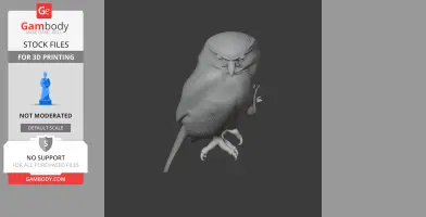 Austral pygmy owl - Prehistoric Animal STL