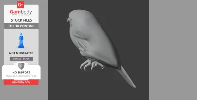 Austral pygmy owl - Prehistoric Animal STL