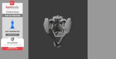A 3D model of a Quinkana skull replica, open jaws and visible teeth, set against a gray background.