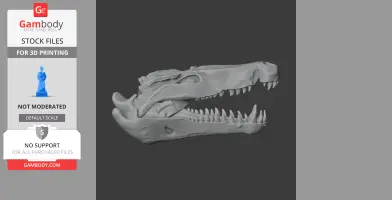 3D model of a Quinkana skull with detailed teeth and jaw, designed for 3D printing.
