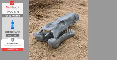 Gray 3D-printed Quinkana skull replica resting on sandy ground.