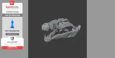3D model of a prehistoric Quinkana skull, showing detailed teeth and bone structure for printing.