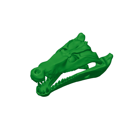 Quinkana Skull.3mf