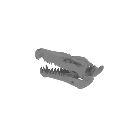 Quinkana Skull.stl