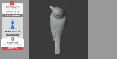 3D model of an Austral thrush viewed from above, showcasing detailed wings and tail.