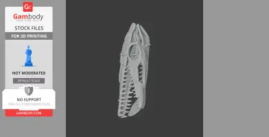 3D model of a detailed dinosaur-like skull replica, designed for 3D printing.