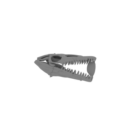 Qunkasaura Skull.stl