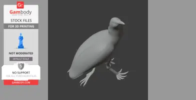 3D model of an Australasian bittern with detailed legs and beak, designed for 3D printing.