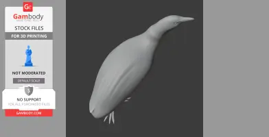 3D model of an Australasian bittern, a bird, for 3D printing displayed in a profile view.