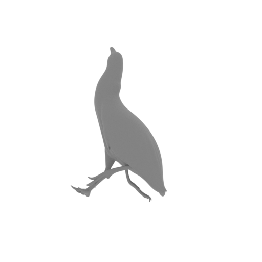 Australasian bittern.stl