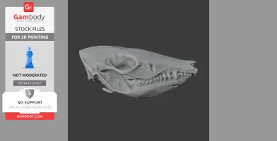 3D model of a rabbit-eared bandicoot skull in profile view, designed for 3D printing.