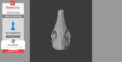 3D model of a rabbit-eared bandicoot skull, designed for 3D printing. Front view displayed.