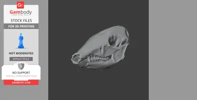 3D model of a rabbit-eared bandicoot skull for printing, shown in grayscale on a dark background.