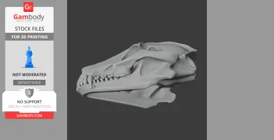 3D model of a raccoon dog skull, designed for 3D printing, showcasing detailed bone structure.