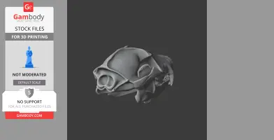 A 3D model of a raccoon dog skull for 3D printing, displayed against a dark background.
