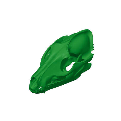 Raccoon Dog Skull.3mf