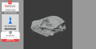 A detailed 3D model of a raccoon dog skull for printing, shown from a side angle.