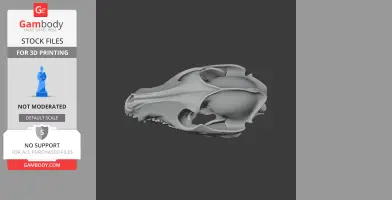 A detailed 3D model of a raccoon dog skull, suitable for 3D printing.