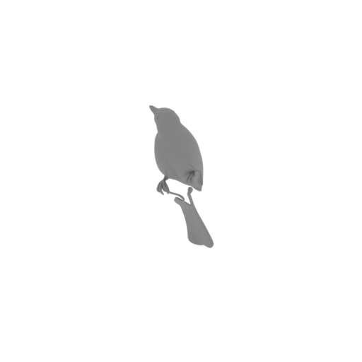 Australasian figbird.stl