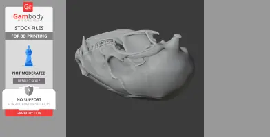 3D model of a detailed raccoon skull, shown from a side angle for printing.