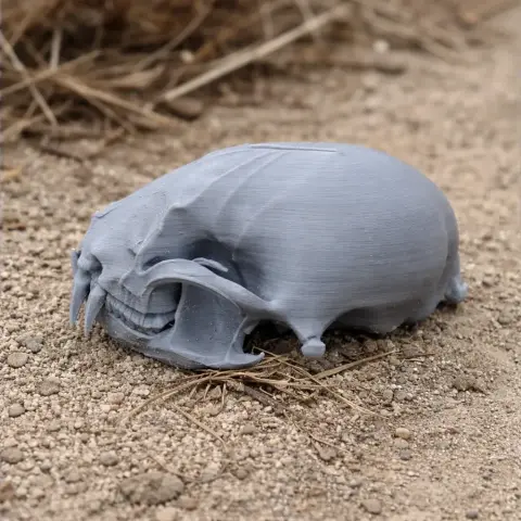 A 3D printed gray raccoon skull replica lying on sandy ground.
