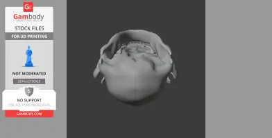 3D model of a raccoon skull viewed from below, designed for 3D printing.