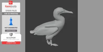 3D model of an Australasian gannet standing, ideal for 3D printing, displayed on a dark background.