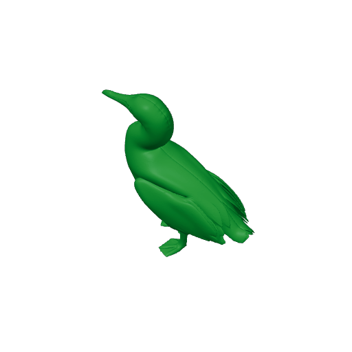 Australasian gannet.3mf