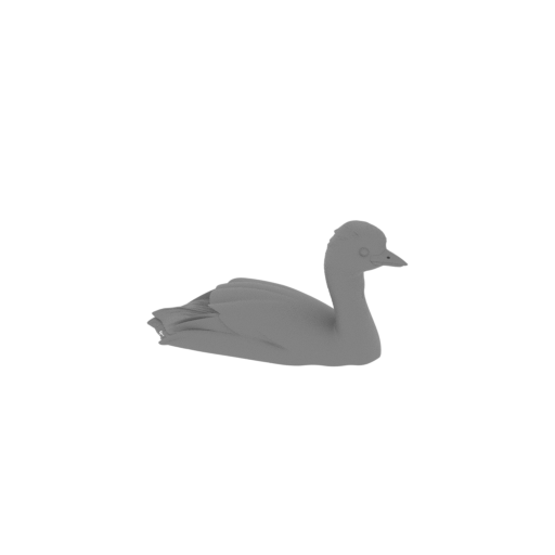 Australasian grebe.stl