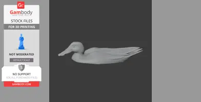 A 3D model of an Australasian shoveler duck in a swimming pose, suitable for 3D printing.