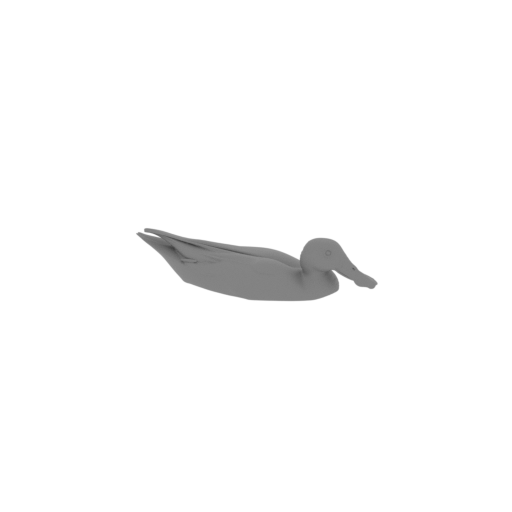 Australasian shoveler.stl