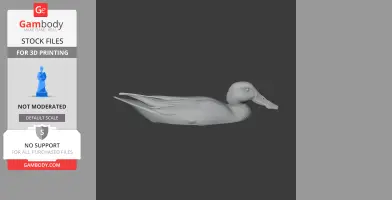 A 3D STL model of an Australasian shoveler, detailed and ready for 3D printing.