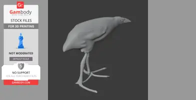 3D model of a prehistoric Australasian swamphen with long legs and a curved beak.