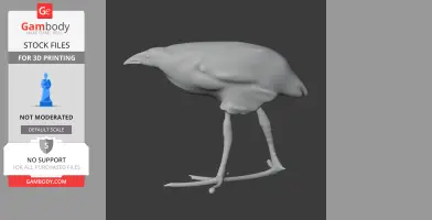3D model of a prehistoric Australasian swamphen with detailed legs and beak, for 3D printing.