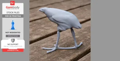3D-printed model of an Australasian swamphen, standing with elongated legs on a wooden surface.