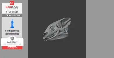 3D model of a radiated tortoise skull, detailed and ready for 3D printing.