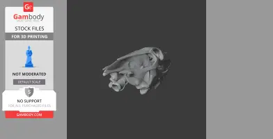 3D model of a radiated tortoise skull, ready for 3D printing, shown on a gray background.