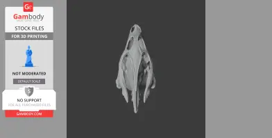 3D model of a radiated tortoise skull replica, designed for 3D printing.
